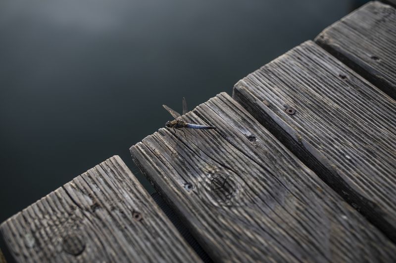 © Sina Niemeyer - Image from the On Every Third Day photography project