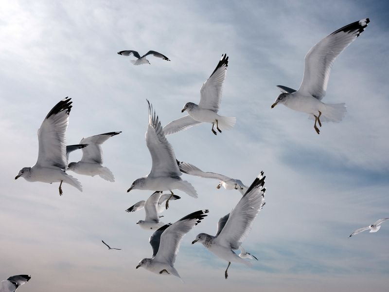 © Chantal Heijnen - Image from the The Sea is My Home photography project