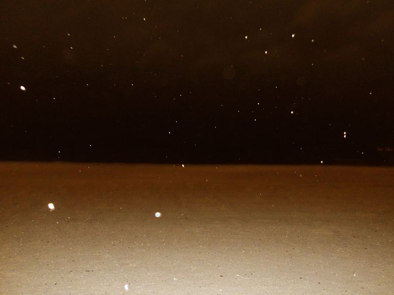 © Chantal Heijnen - Night view of Coney Island beach. Photo taken by Aseed.