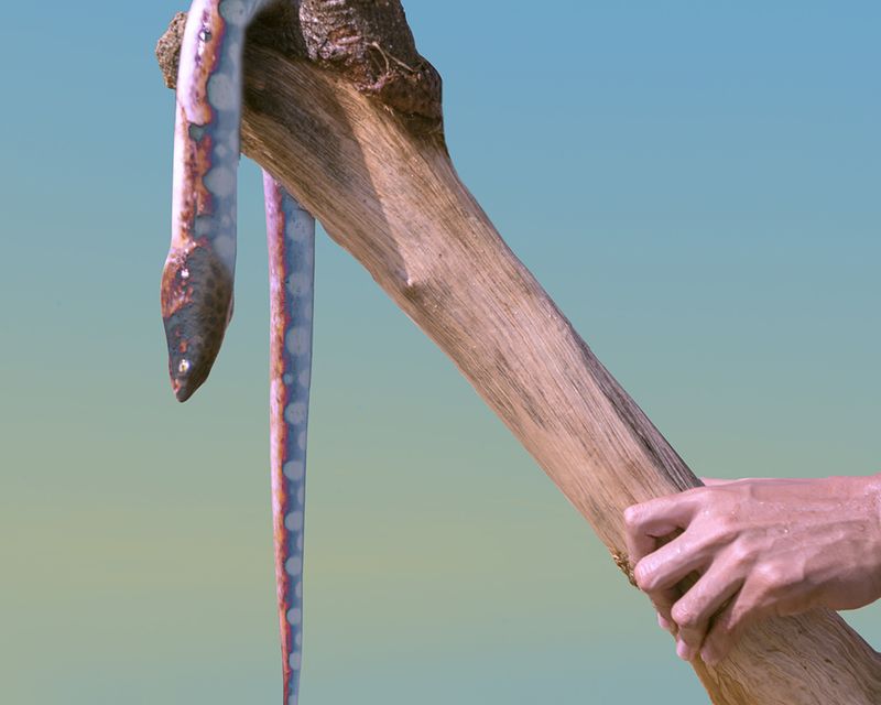 © Fernando Montiel Klint - Image from the Dystopia photography project