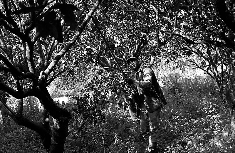 © Isabell Zipfel - Image from the Italy's Migrant slaves + Orange pickers in rosarno photography project