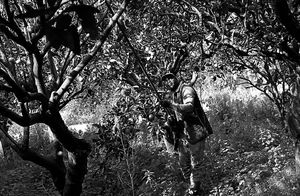 Italy's Migrant slaves + Orange pickers in rosarno