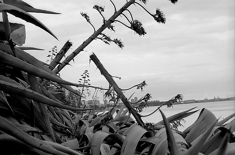 © Isabell Zipfel - Image from the taranto mon amour + steel or life photography project