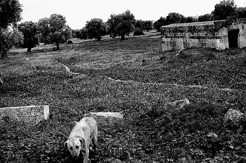 © Isabell Zipfel - Image from the taranto mon amour + steel or life photography project