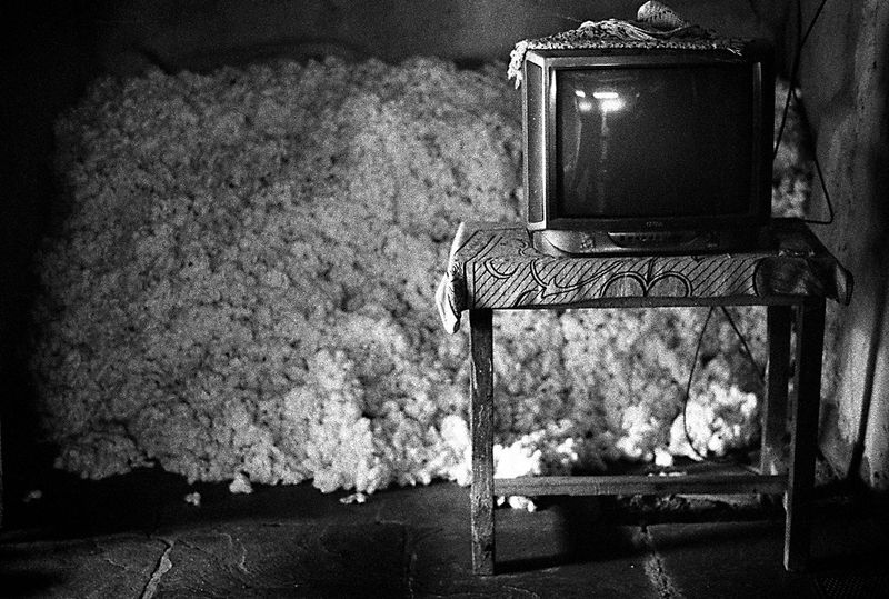 © Isabell Zipfel - Image from the suicide farmers + BT Cotton in India photography project