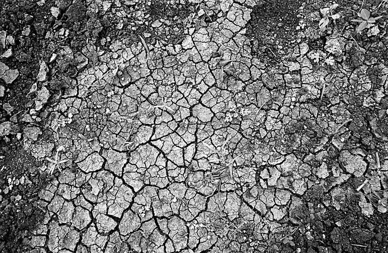 © Isabell Zipfel - Image from the suicide farmers + BT Cotton in India photography project
