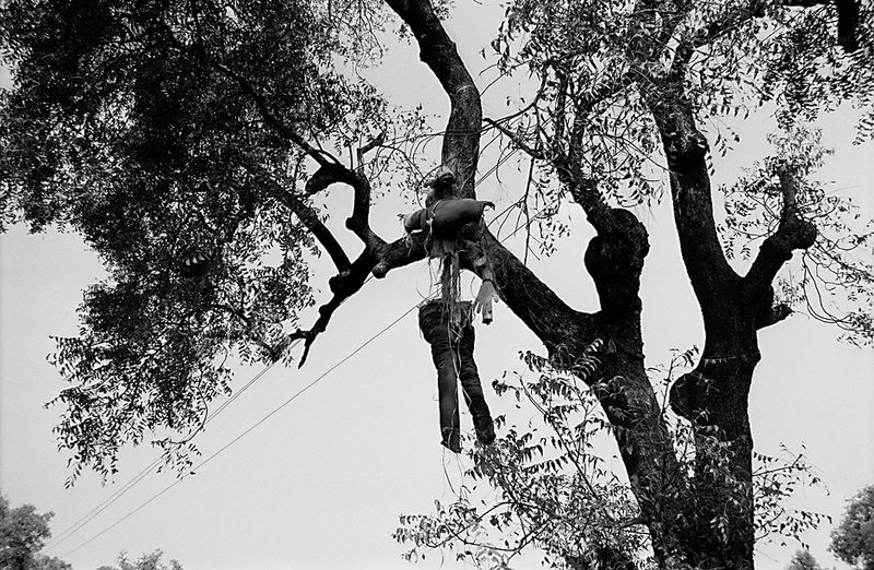 © Isabell Zipfel - Image from the suicide farmers + BT Cotton in India photography project