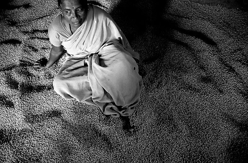 © Isabell Zipfel - Image from the suicide farmers + BT Cotton in India photography project