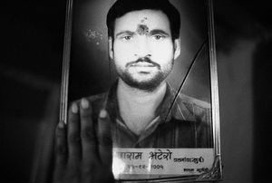 suicide farmers + BT Cotton in India