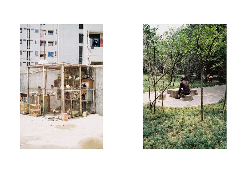 © Leafhopper Blanca Galindo &amp; David Simon Martret - Image from the IT’S A WONDERFUL LIFE photography project