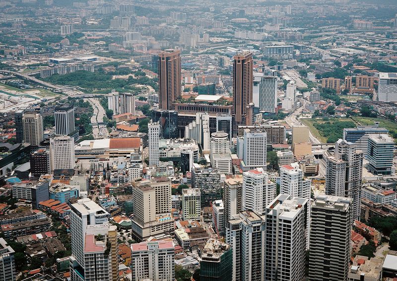 © Leafhopper Blanca Galindo &amp; David Simon Martret - Image from the IT’S A WONDERFUL LIFE photography project