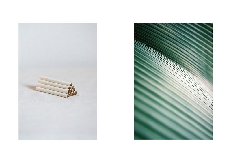 © Leafhopper Blanca Galindo &amp; David Simon Martret - Image from the IT’S A WONDERFUL LIFE photography project