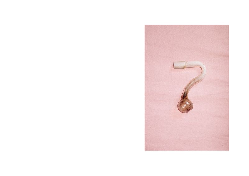 © Leafhopper Blanca Galindo &amp; David Simon Martret - Image from the IT’S A WONDERFUL LIFE photography project