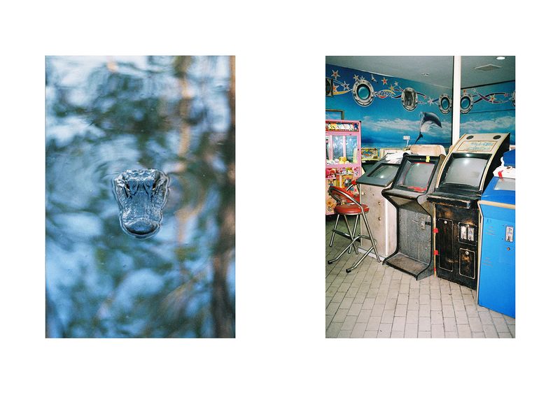 © Leafhopper Blanca Galindo &amp; David Simon Martret - Image from the IT’S A WONDERFUL LIFE photography project