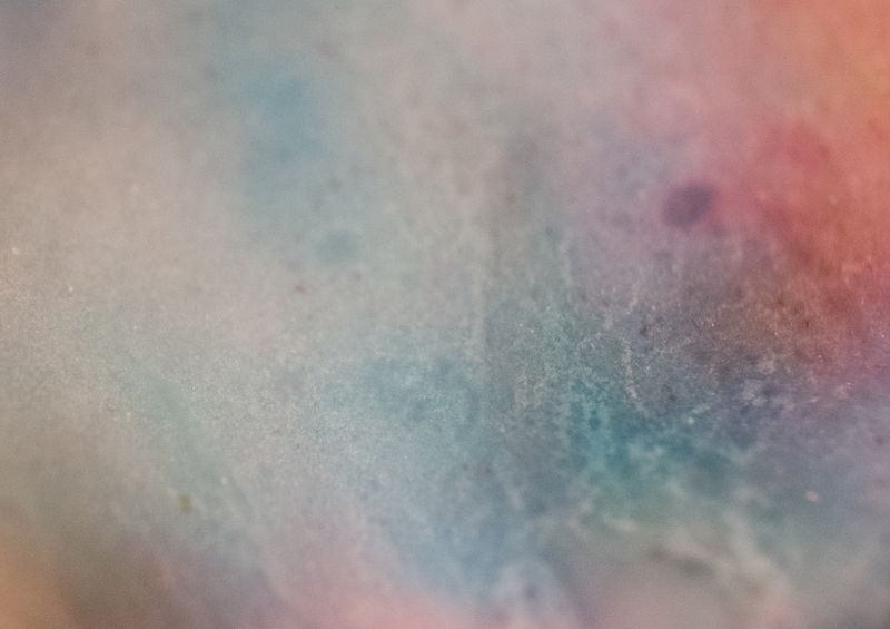 © Leafhopper Blanca Galindo &amp; David Simon Martret - Image from the IT’S A WONDERFUL LIFE photography project