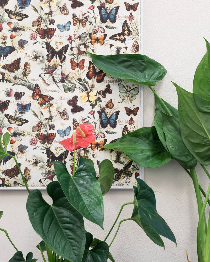 © Martino Lombezzi - Image from the Resolution 808 photography project