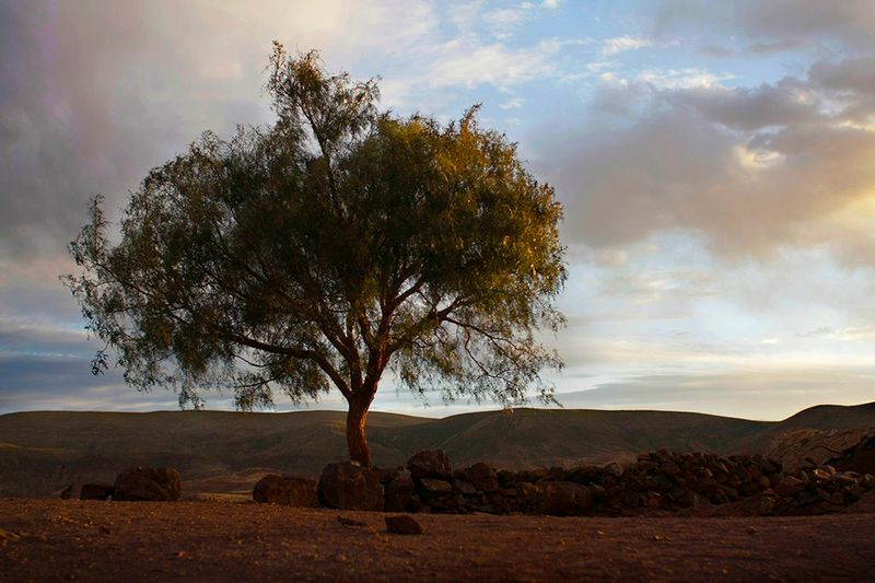 © Gianni Bulacio - Image from the Tinku, the meeting photography project