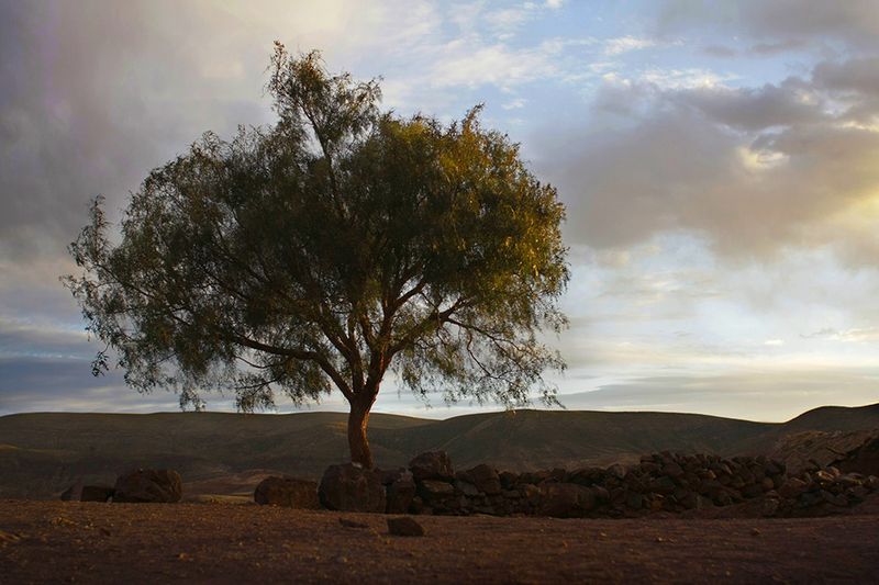 © Gianni Bulacio - Image from the Tinku, the meeting photography project