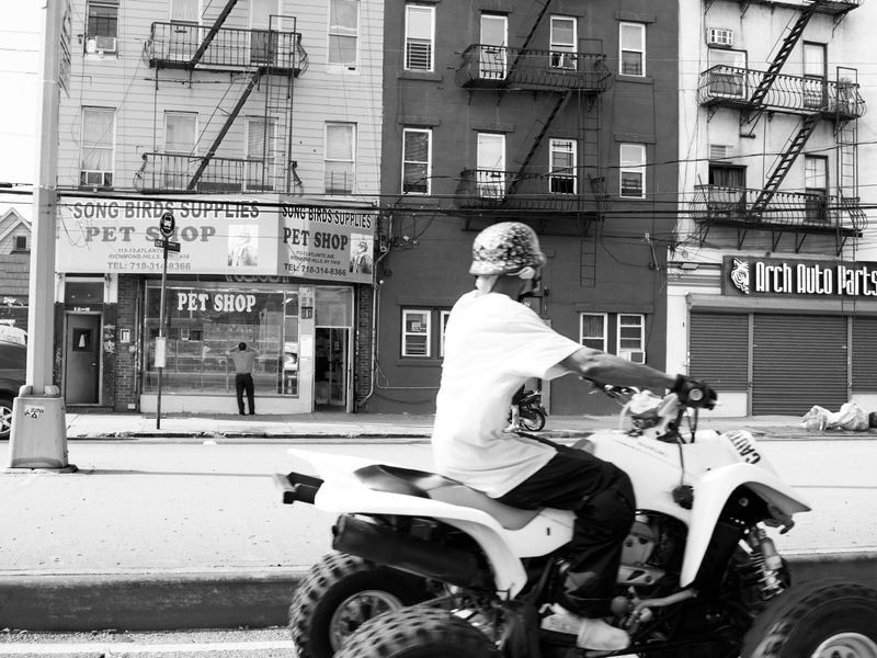 © Johan Orellana - Pet Shop