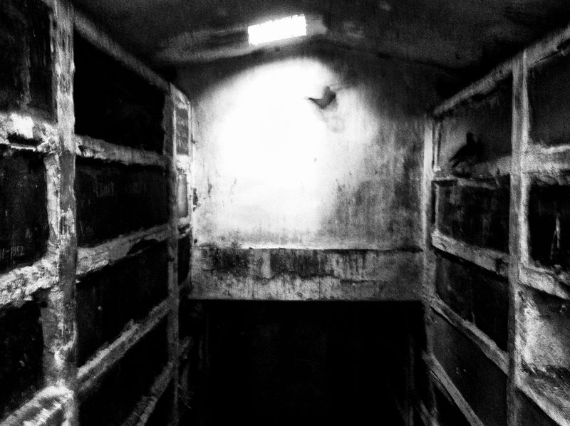 © Nino Cannizzaro - Image from the HUM photography project