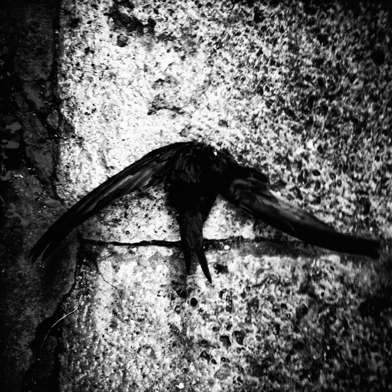 © Nino Cannizzaro - Image from the HUM photography project