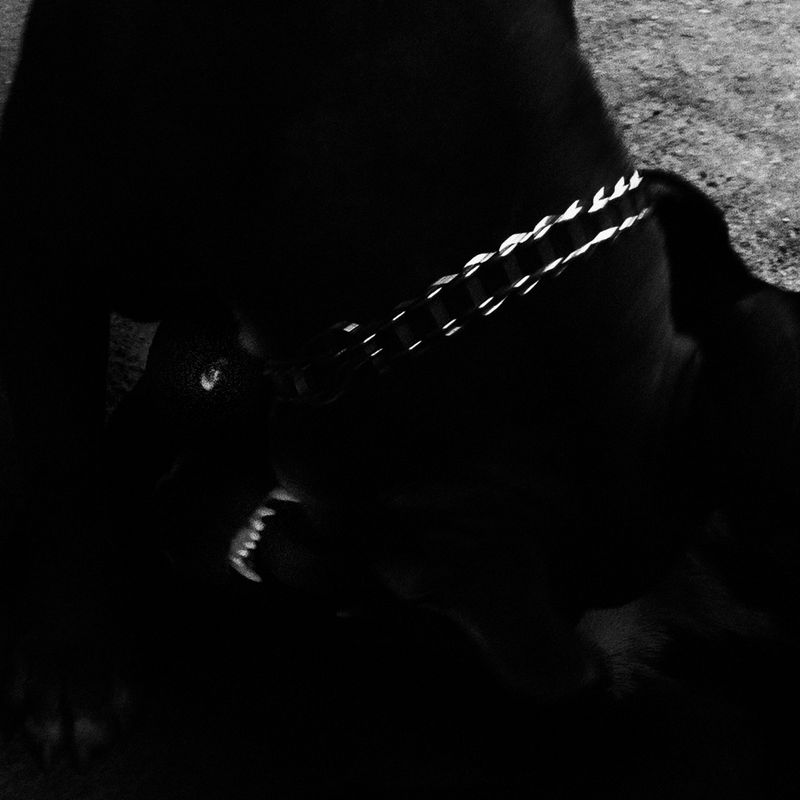 © Nino Cannizzaro - Image from the HUM photography project