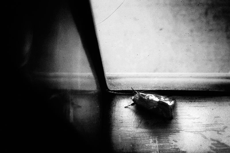 © Nino Cannizzaro - Image from the HUM photography project