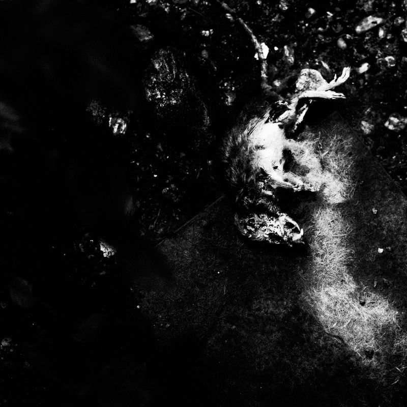 © Nino Cannizzaro - Image from the HUM photography project