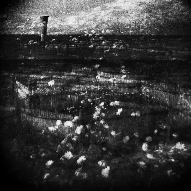 © Nino Cannizzaro - Image from the Le Detroit Perdu photography project