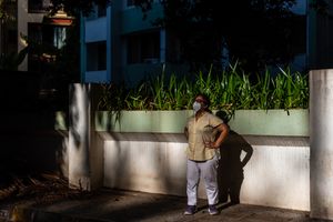 Quest for Sunlight During a Global Pandemic