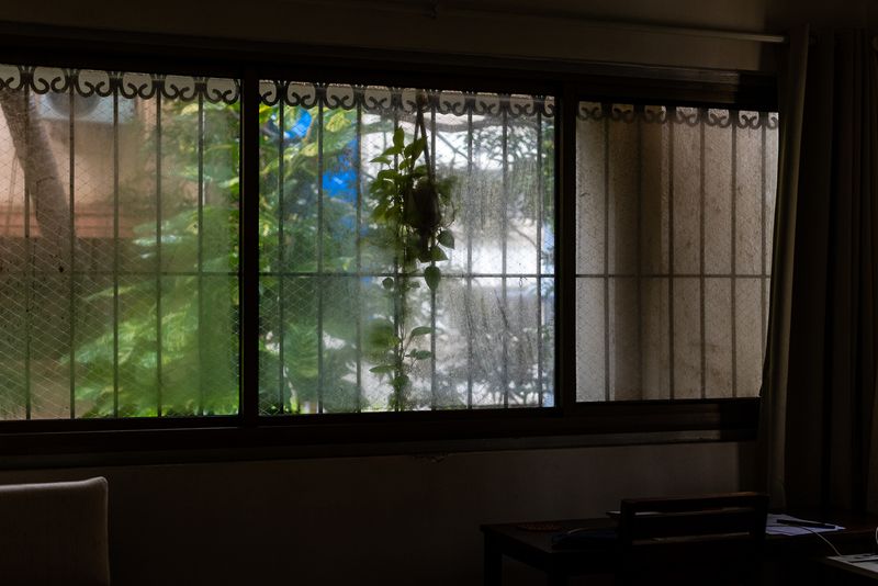 © Alisha Vasudev - View in the afternoon, with limited light, through a window on a lower floor.