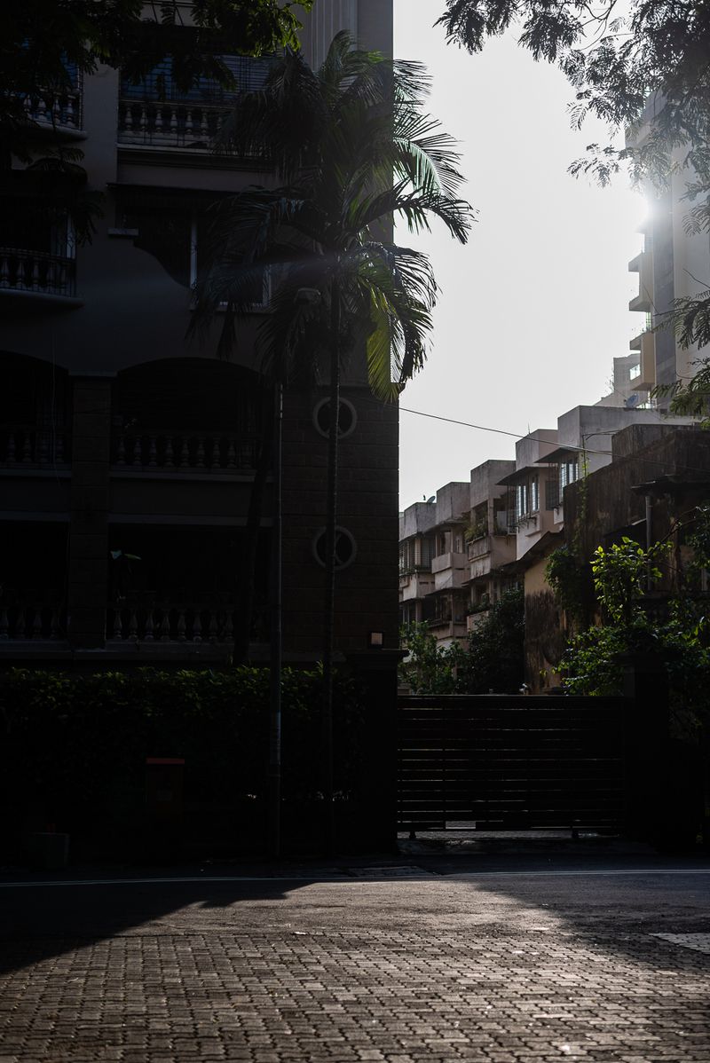© Alisha Vasudev - Image from the Quest for Sunlight During a Global Pandemic photography project