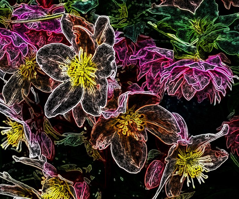 © Saskia Rueb - Spring Time