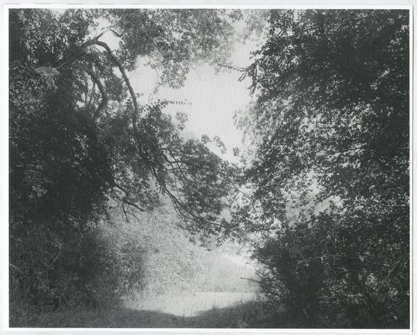 © Rory King - The lush banks of Stewart River, an isolated refuge amidst chaos.