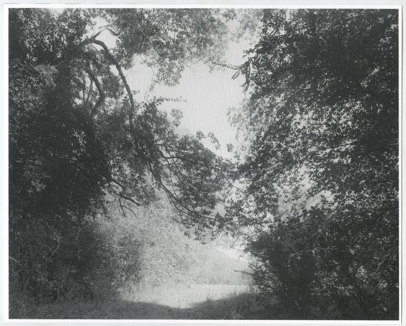 © Rory King - The lush banks of Stewart River, an isolated refuge amidst chaos.