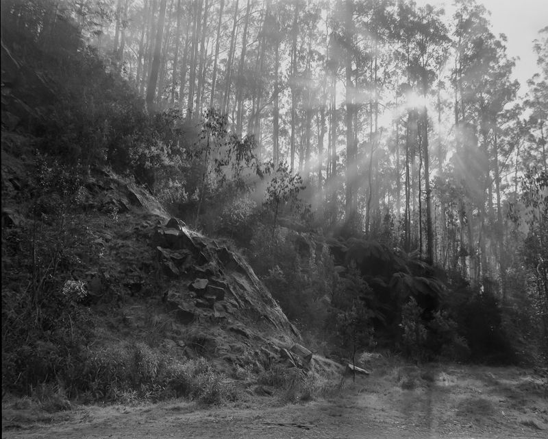 © Rory King - Image from the Bushranger Blue photography project