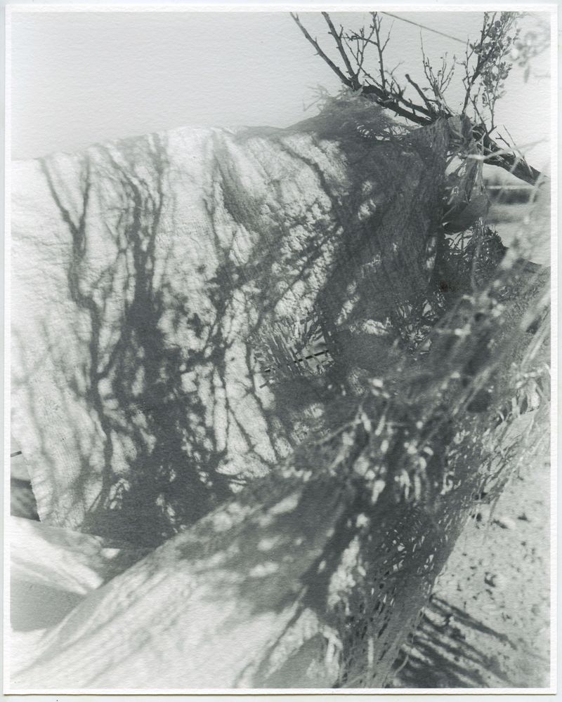 © Rory King - Image from the Bushranger Blue photography project