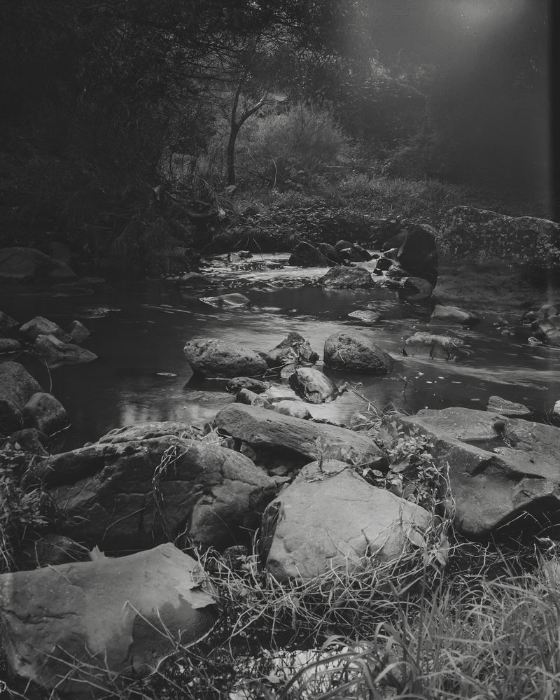 © Rory King - Image from the Bushranger Blue photography project