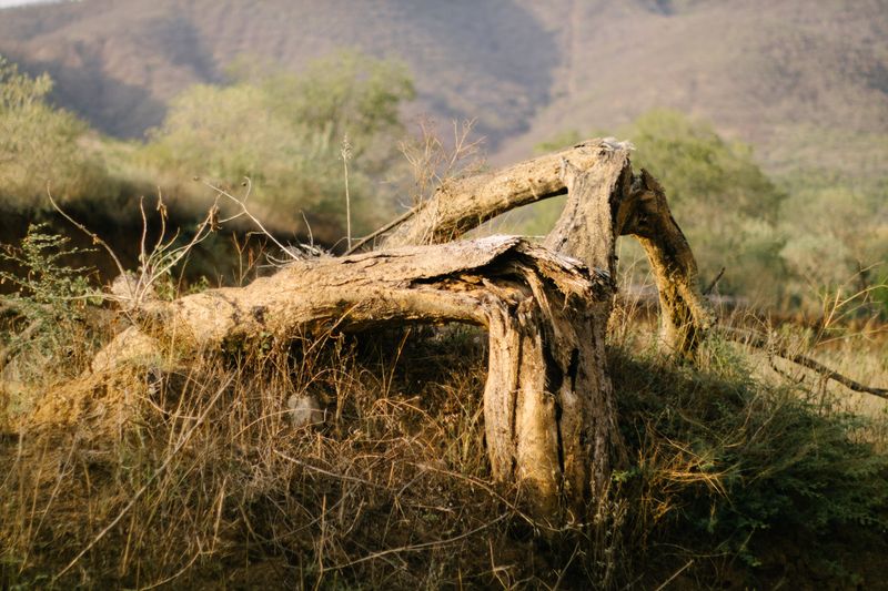 © Sandra Loza - Image from the Ojos que conocieron la misma guerra (Eyes that knew the same war) photography project