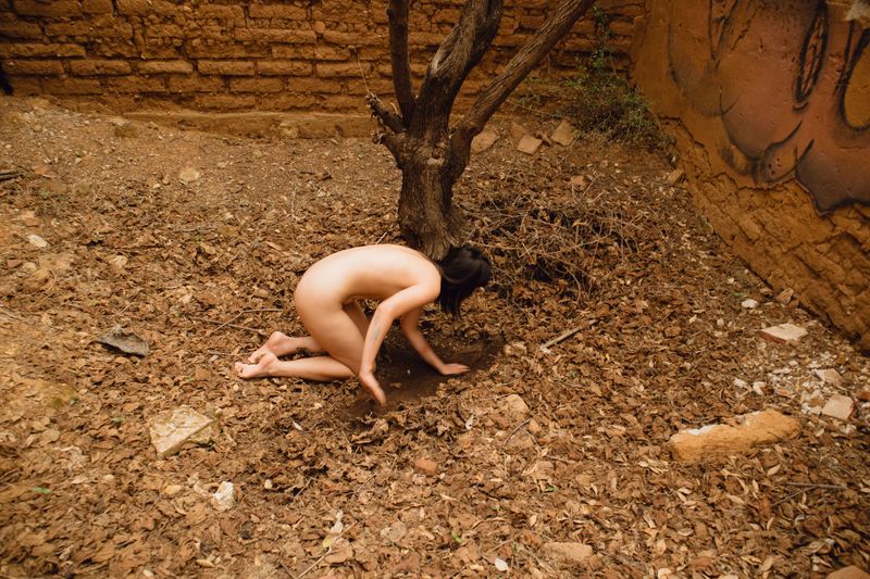 © Sandra Loza - My family tree has no more living branches. The roots are dying or already dead.