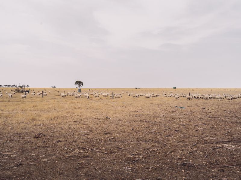 © Yask Desai - Image from the Telia photography project