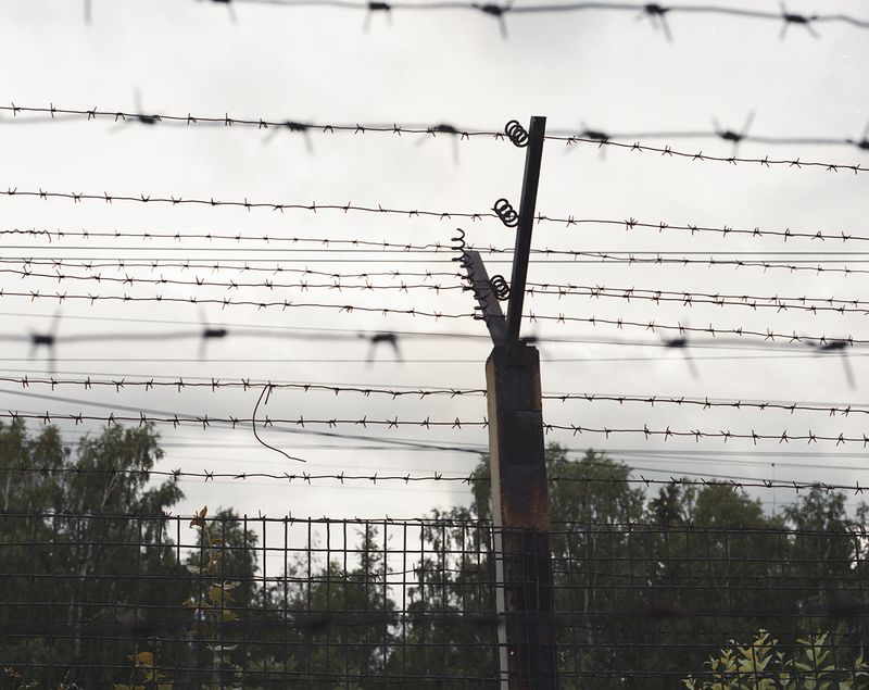 © Kristina Sergeeva - The Wall.