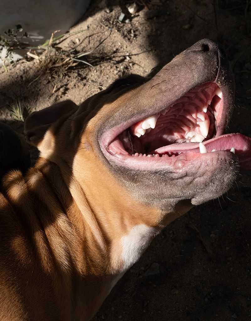 © Jessica Dreier - Image from the Margem Sul photography project