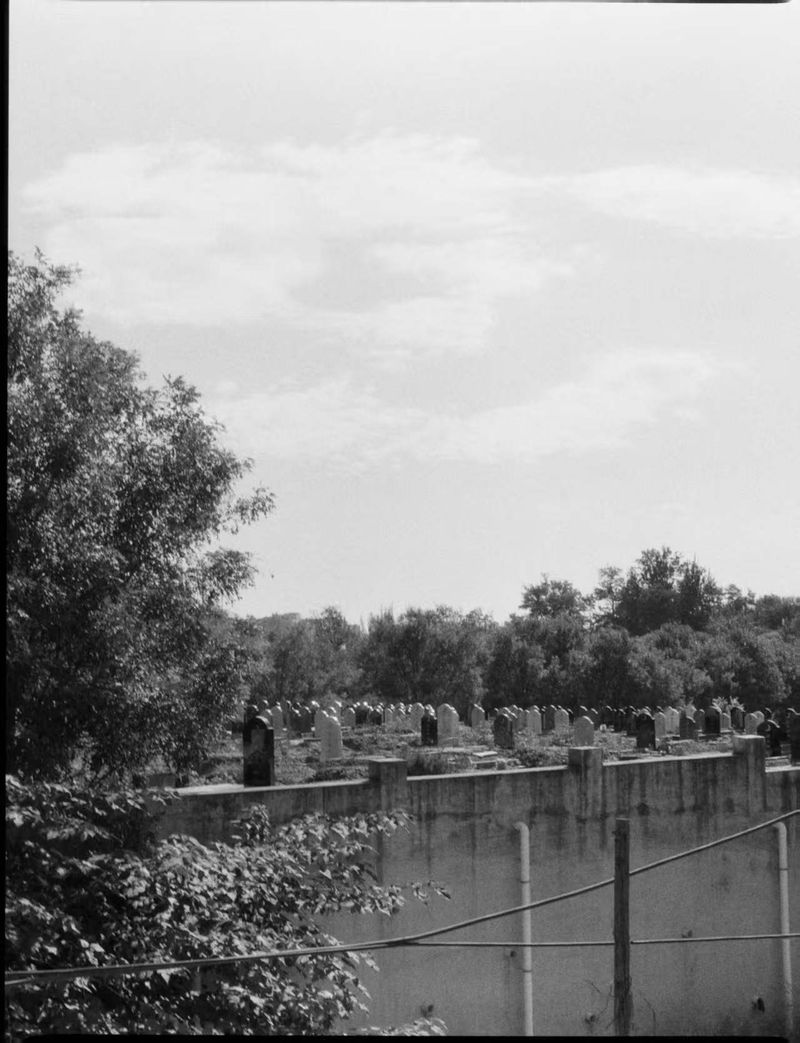 © Hamed Az - Image from the The Funeral of Humanity photography project