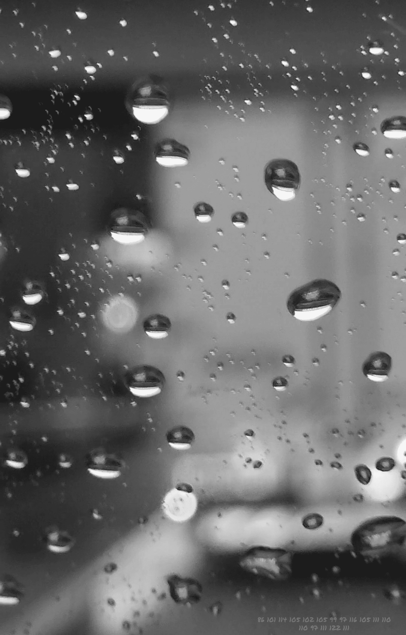 Day483【Verification】