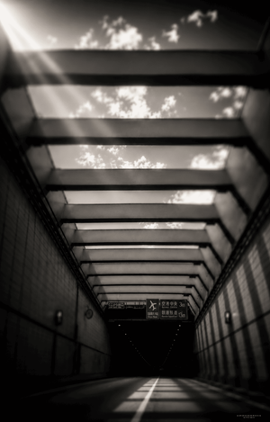 Day537【Blind Spot】