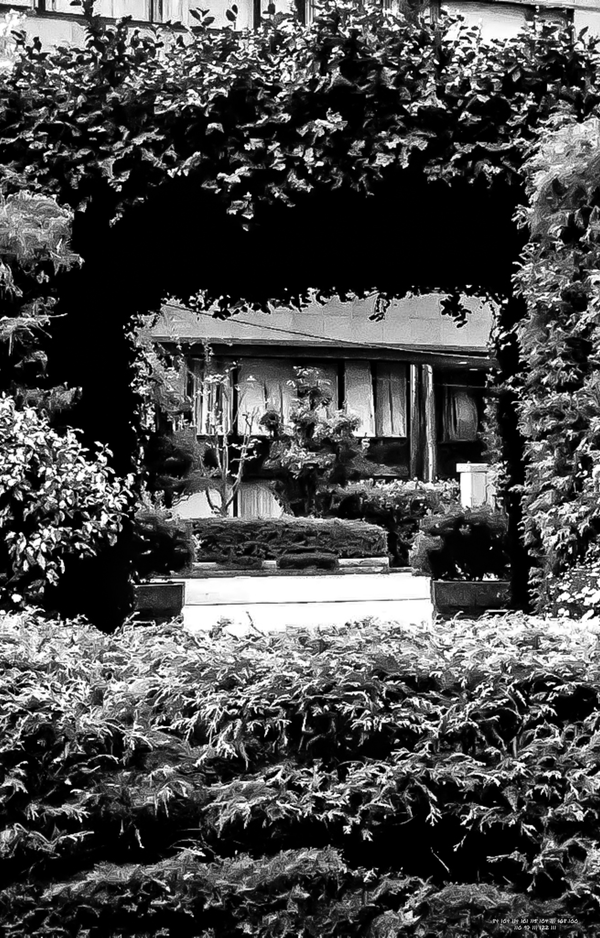 Day470【Threshold】