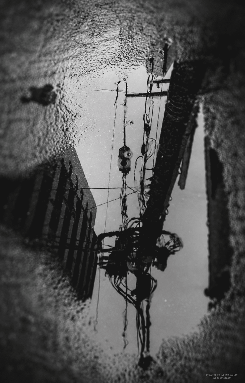 © naozo - Image from the NzPhotograph&naozo photography project