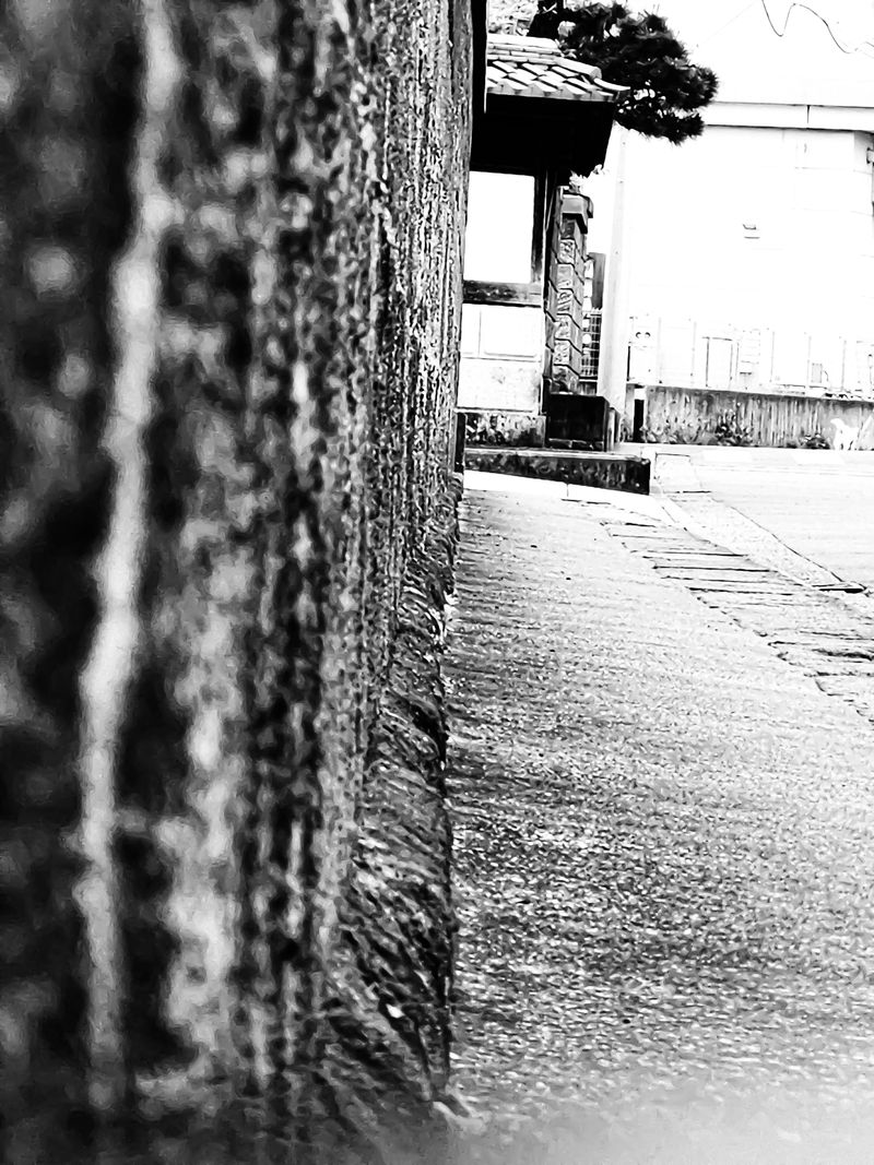 © naozo - Image from the NzPhotograph&naozo photography project