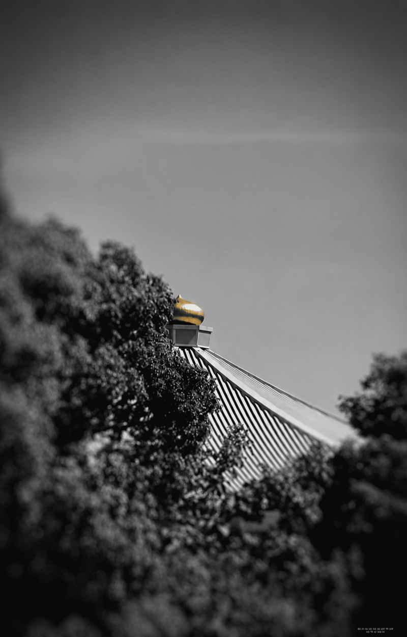 © naozo - Image from the NzPhotograph&naozo photography project